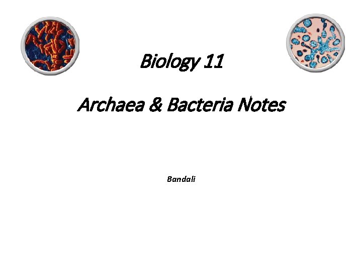 Biology 11 Archaea & Bacteria Notes Bandali 