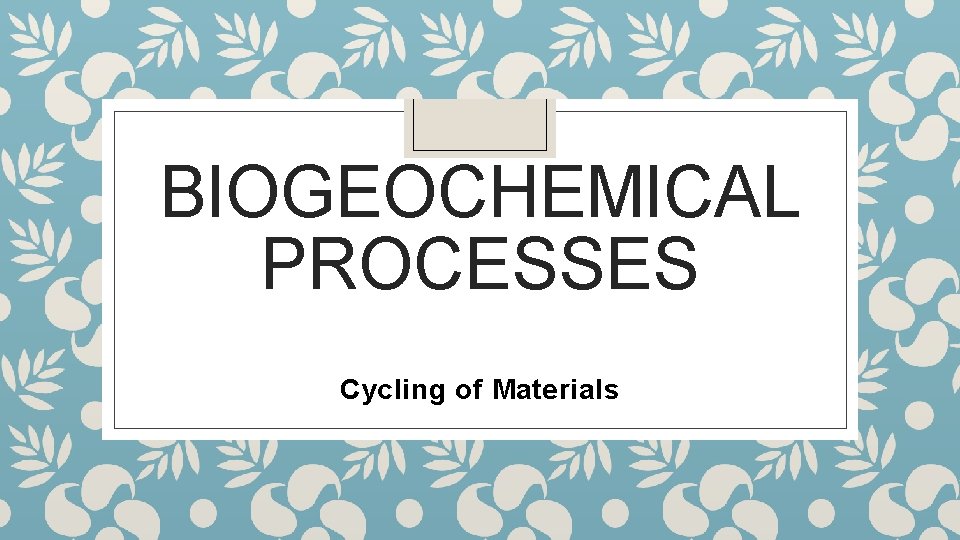 BIOGEOCHEMICAL PROCESSES Cycling of Materials 