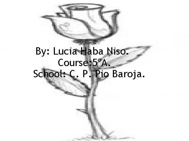 By: Lucia Haba Niso. Course: 5ºA. School: C. P. Pio Baroja. 