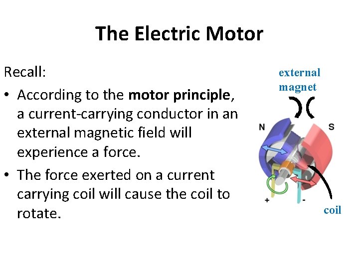The Electric Motor Recall: • According to the motor principle, a current-carrying conductor in