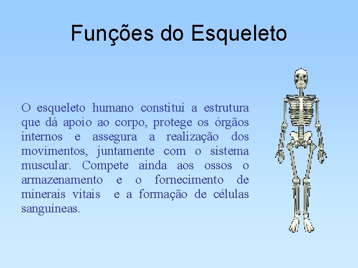 Funções do Esqueleto O esqueleto humano constitui a estrutura que dá apoio ao corpo,