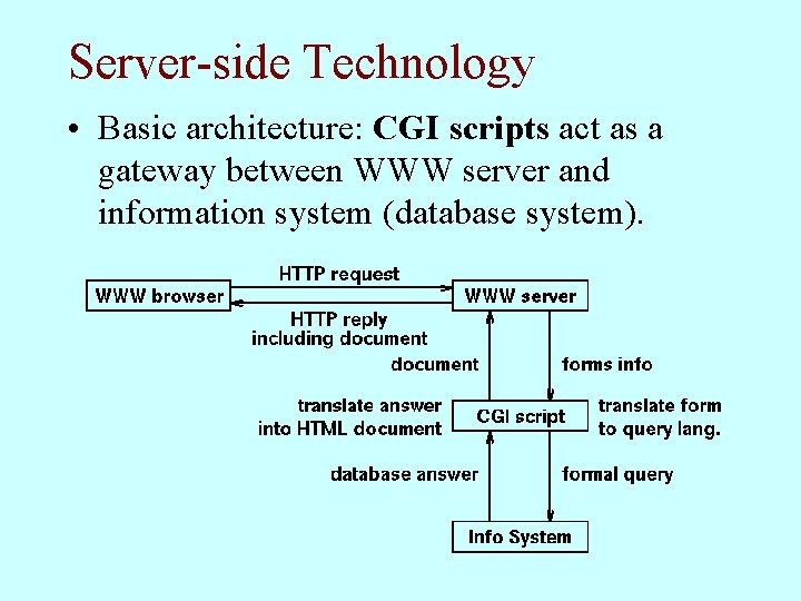 Server-side Technology • Basic architecture: CGI scripts act as a gateway between WWW server