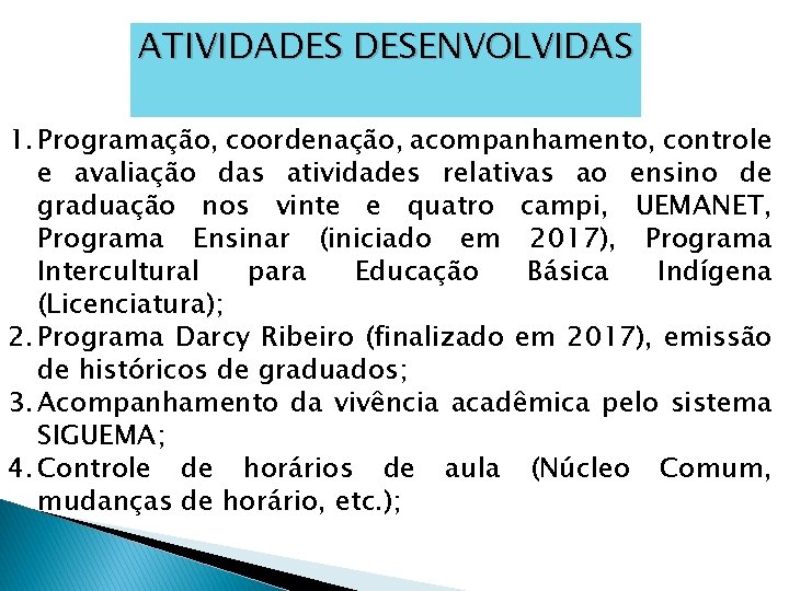 ATIVIDADES DESENVOLVIDAS 1. Programação, coordenação, acompanhamento, controle e avaliação das atividades relativas ao ensino