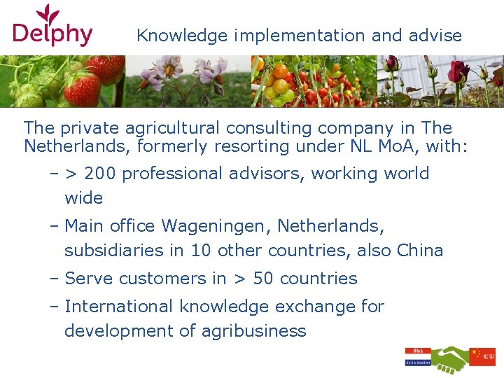 Knowledge implementation and advise The private agricultural consulting company in The Netherlands, formerly resorting