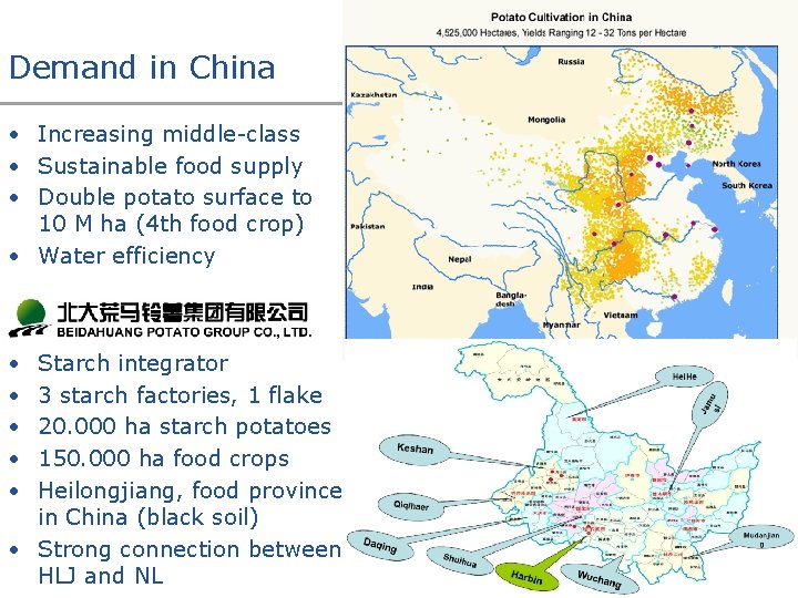 Demand in China • Increasing middle-class • Sustainable food supply • Double potato surface