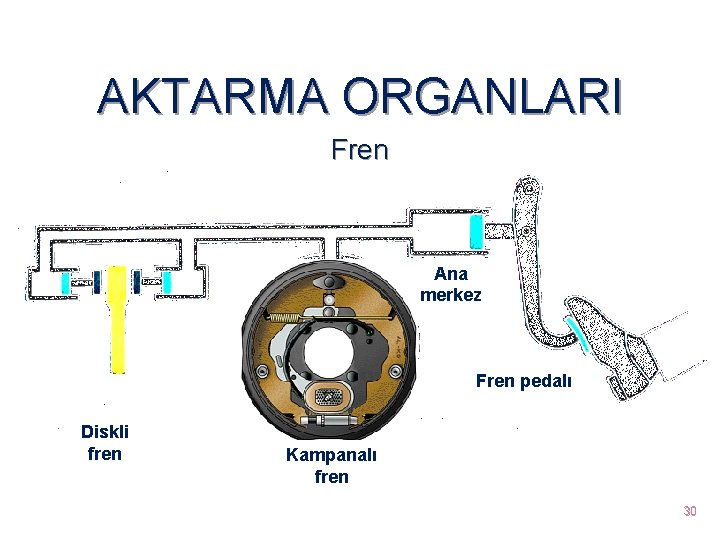 AKTARMA ORGANLARI Fren Ana merkez Fren pedalı Diskli fren Kampanalı fren 30 