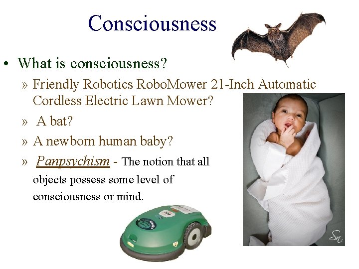 Consciousness • What is consciousness? » Friendly Robotics Robo. Mower 21 -Inch Automatic Cordless