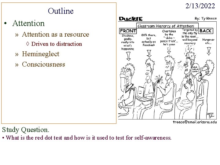 Outline • Attention » Attention as a resource ◊ Driven to distraction » Hemineglect