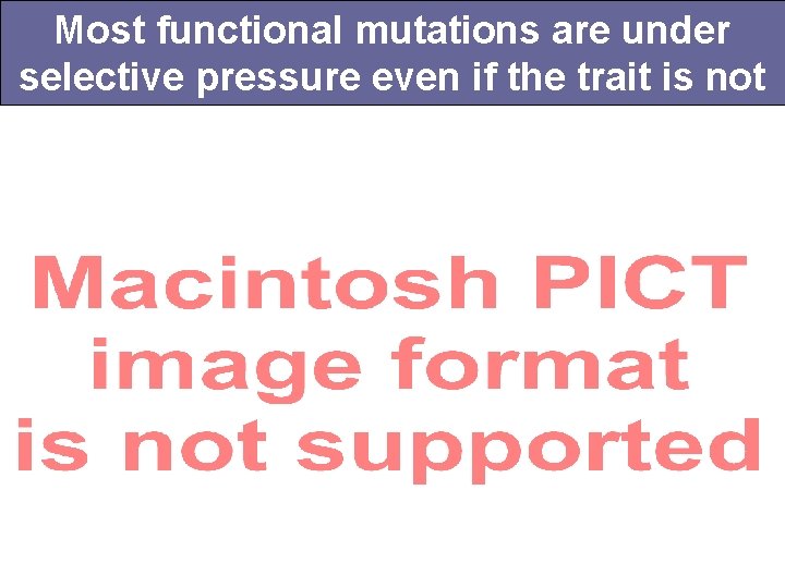 Most functional mutations are under selective pressure even if the trait is not 