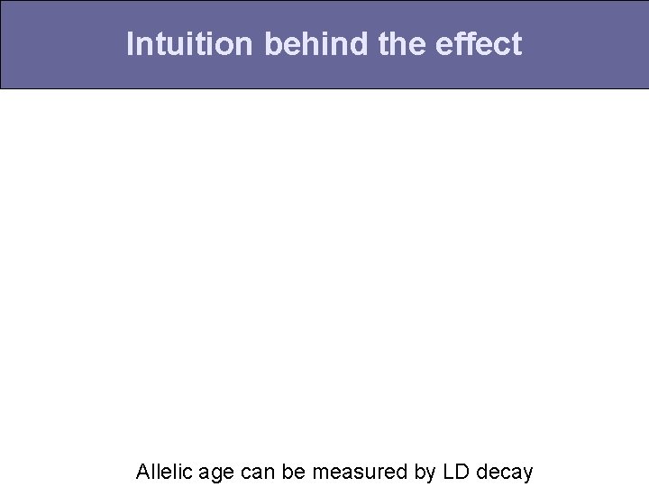 Intuition behind the effect Allelic age can be measured by LD decay 