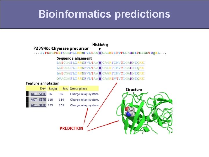 Bioinformatics predictions 
