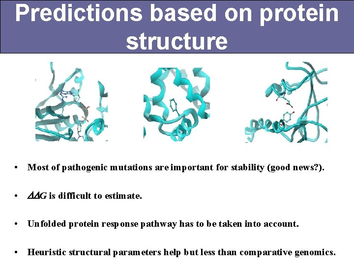 Predictions based on protein structure • Most of pathogenic mutations are important for stability