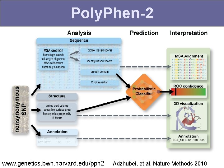 Poly. Phen-2 www. genetics. bwh. harvard. edu/pph 2 Adzhubei, et al. Nature Methods 2010