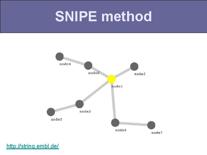 SNIPE method http: //string. embl. de/ 