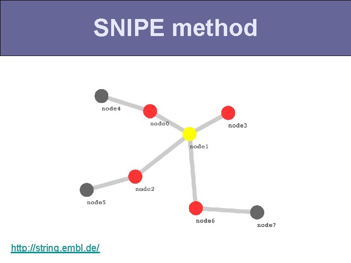 SNIPE method http: //string. embl. de/ 