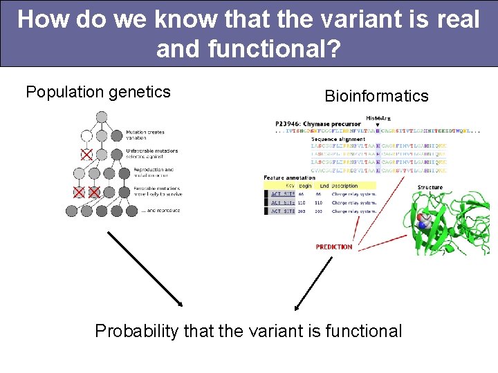 How do we know that the variant is real and functional? Population genetics Bioinformatics