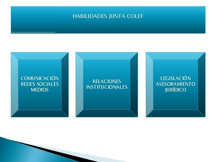 HABILIDADES JUNTA COLEF COMUNICACIÓN REDES SOCIALES MEDIOS RELACIONES INSTITUCIONALES LEGISLACIÓN ASESORAMIENTO JURÍDICO 