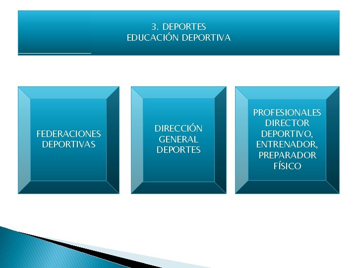 3. DEPORTES EDUCACIÓN DEPORTIVA FEDERACIONES DEPORTIVAS DIRECCIÓN GENERAL DEPORTES PROFESIONALES DIRECTOR DEPORTIVO, ENTRENADOR, PREPARADOR