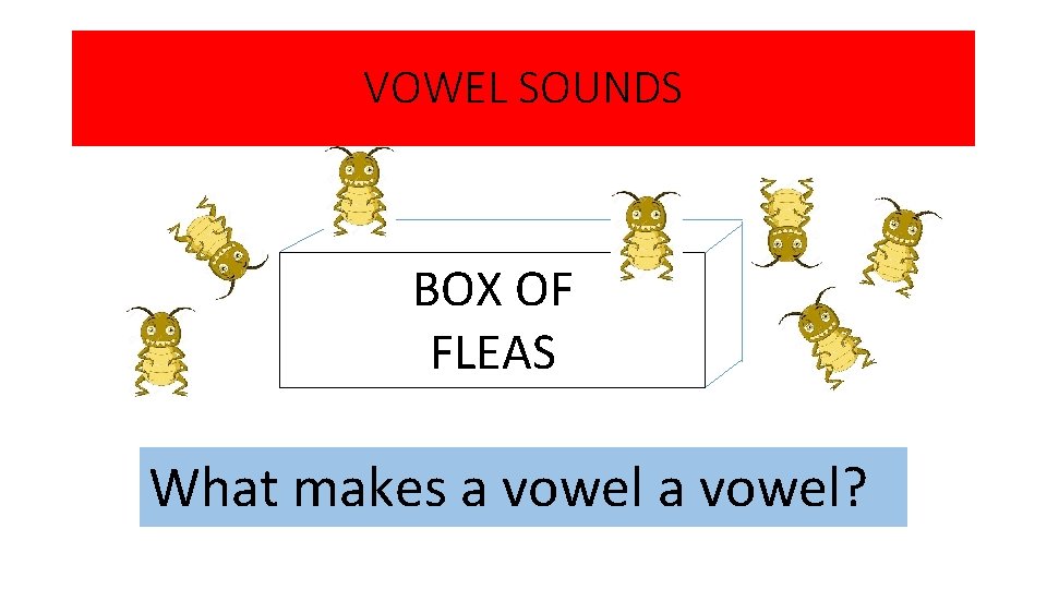 VOWEL SOUNDS BOX OF FLEAS What makes a vowel? 