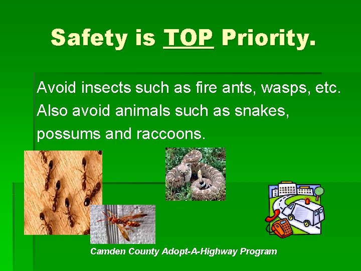 Safety is TOP Priority. Avoid insects such as fire ants, wasps, etc. Also avoid