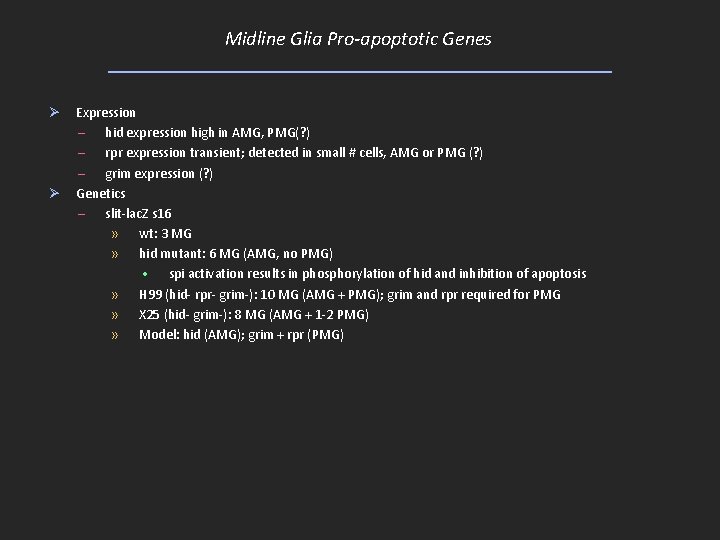 Midline Glia Pro-apoptotic Genes Ø Ø Expression – hid expression high in AMG, PMG(?