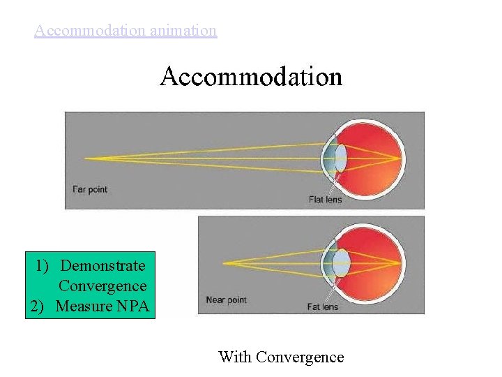Accommodation animation 1) Demonstrate Convergence 2) Measure NPA With Convergence 