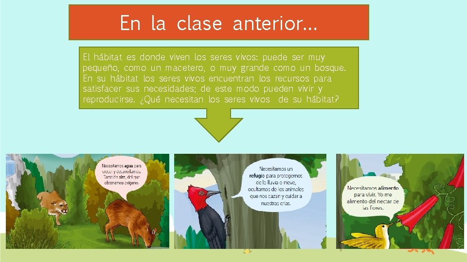 En la clase anterior… El hábitat es donde viven los seres vivos: puede ser