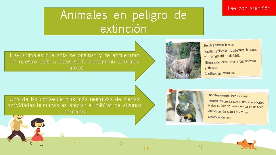 Animales en peligro de extinción Hay animales que solo se originan y se encuentran