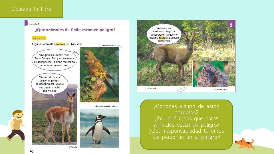 Observa tu libro ¿Conoces alguno de estos animales? ¿Por qué crees que estos animales