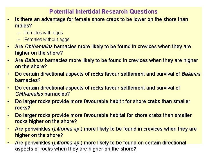 Potential Intertidal Research Questions • Is there an advantage for female shore crabs to