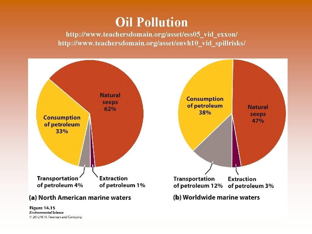 Oil Pollution http: //www. teachersdomain. org/asset/ess 05_vid_exxon/ http: //www. teachersdomain. org/asset/envh 10_vid_spillrisks/ 