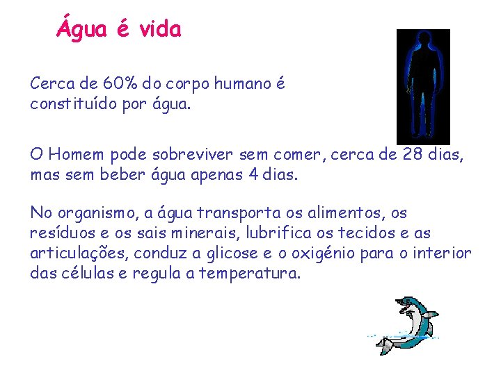 Água é vida Cerca de 60% do corpo humano é constituído por água. O