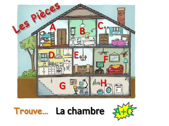 s e L è i P s e c A B D E G s e L è i P s e c A B D E G