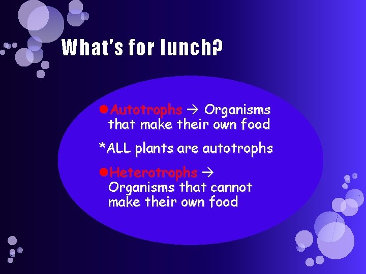 What’s for lunch? Autotrophs Organisms that make their own food *ALL plants are autotrophs