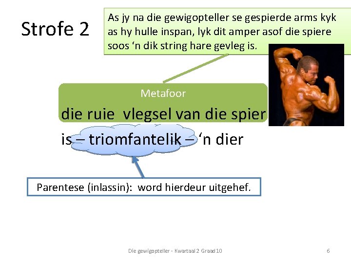 Strofe 2 As jy na die gewigopteller se gespierde arms kyk as hy hulle