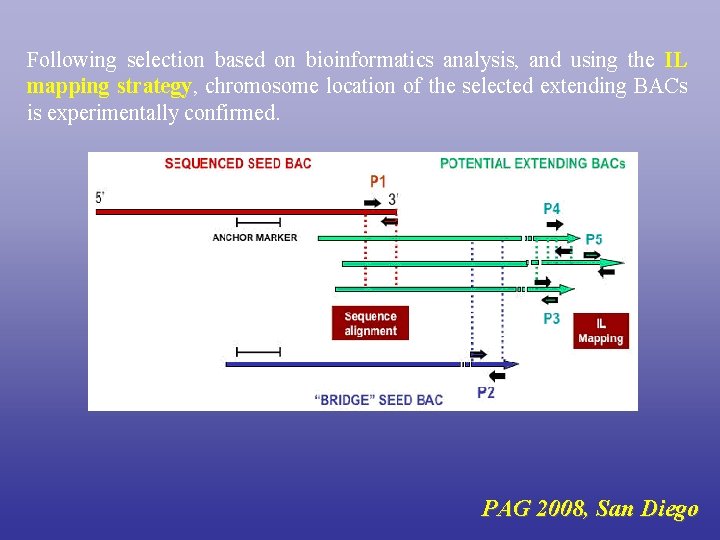 Following selection based on bioinformatics analysis, and using the IL mapping strategy, chromosome location