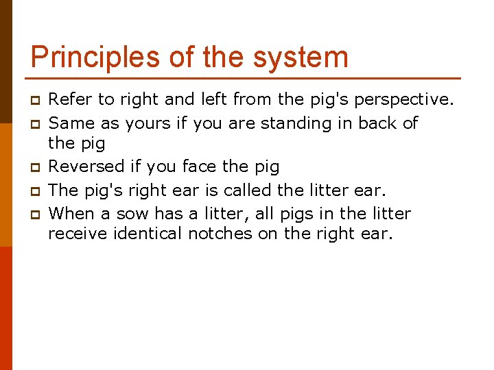 Principles of the system p p p Refer to right and left from the