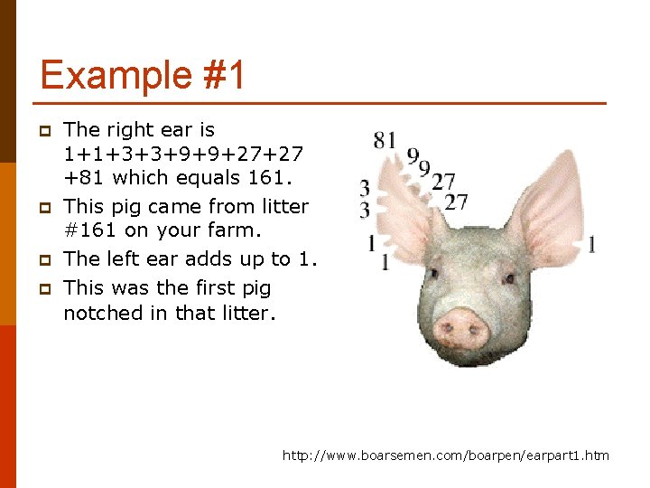 Example #1 p p The right ear is 1+1+3+3+9+9+27+27 +81 which equals 161. This