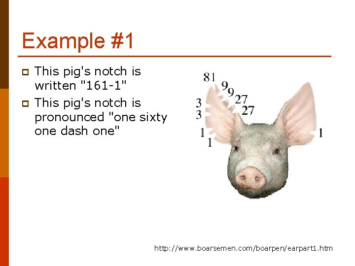 Example #1 p p This pig's notch is written "161 -1" This pig's notch