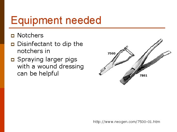 Equipment needed p p p Notchers Disinfectant to dip the notchers in Spraying larger