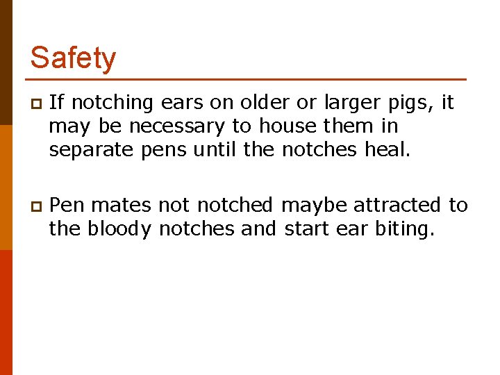 Safety p If notching ears on older or larger pigs, it may be necessary