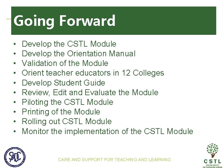 Going Forward • • • Develop the CSTL Module Develop the Orientation Manual Validation