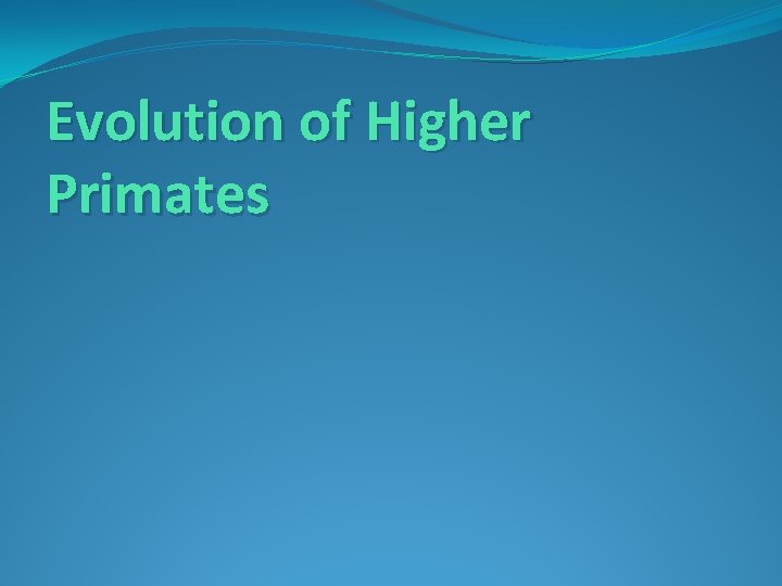 Evolution of Higher Primates 