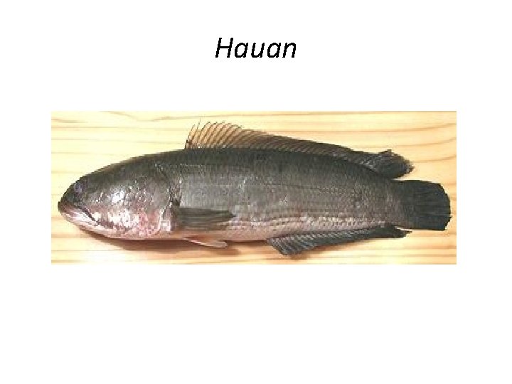 Hauan 