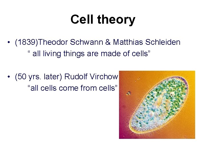 Cell theory • (1839)Theodor Schwann & Matthias Schleiden “ all living things are made