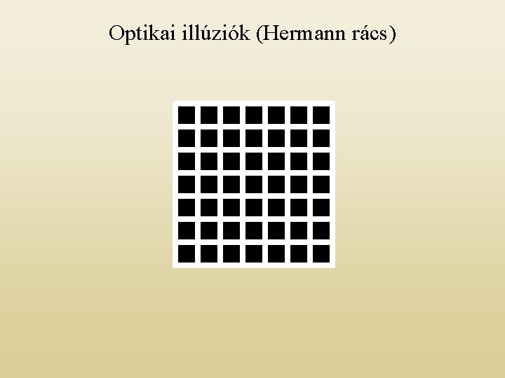Optikai illúziók (Hermann rács) 