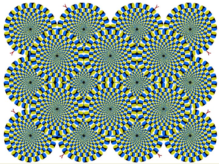 Optikai illúziók (forgó kígyók) 