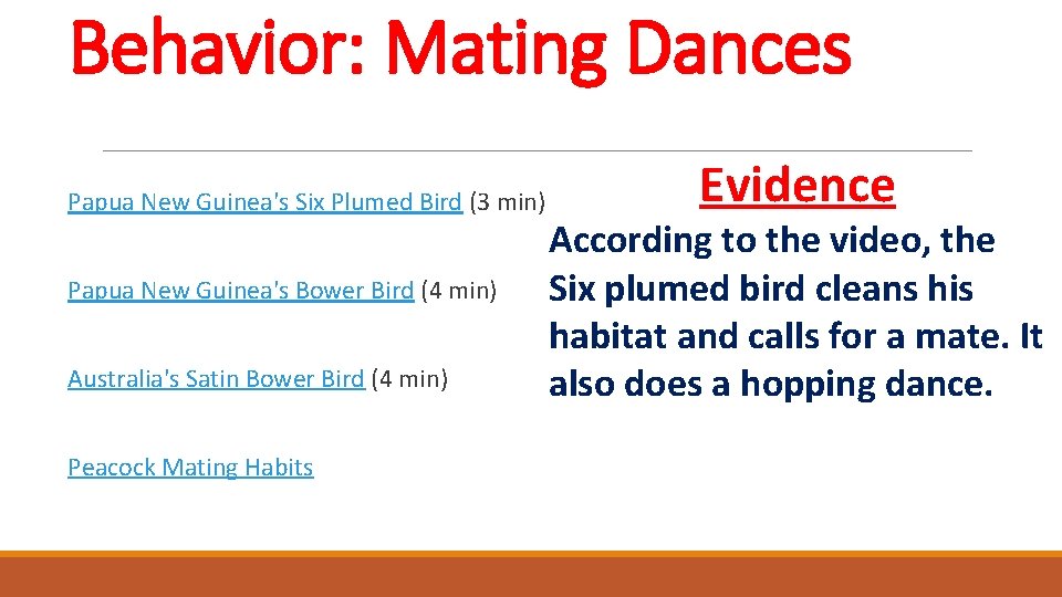 Behavior: Mating Dances Papua New Guinea's Six Plumed Bird (3 min) Papua New Guinea's