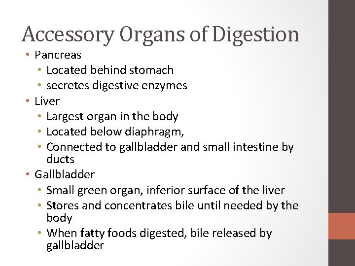 Accessory Organs of Digestion • Pancreas • Located behind stomach • secretes digestive enzymes Accessory Organs of Digestion • Pancreas • Located behind stomach • secretes digestive enzymes
