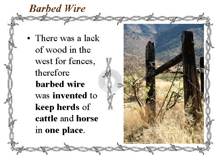 Barbed Wire • There was a lack of wood in the west for fences,